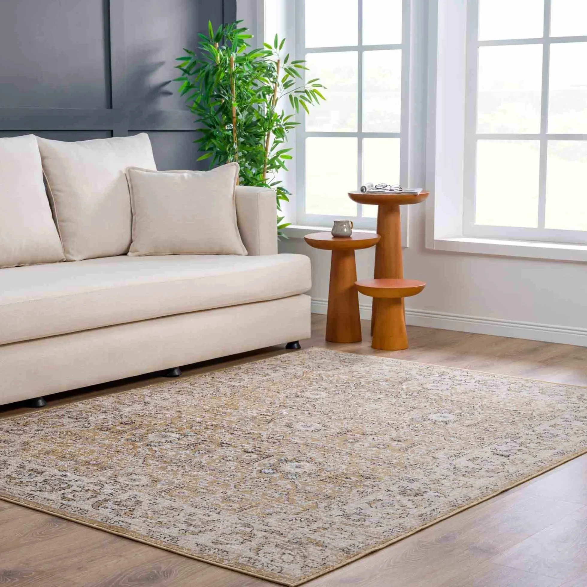 Boutique Rugs - Anana Gold & Beige Area Rug