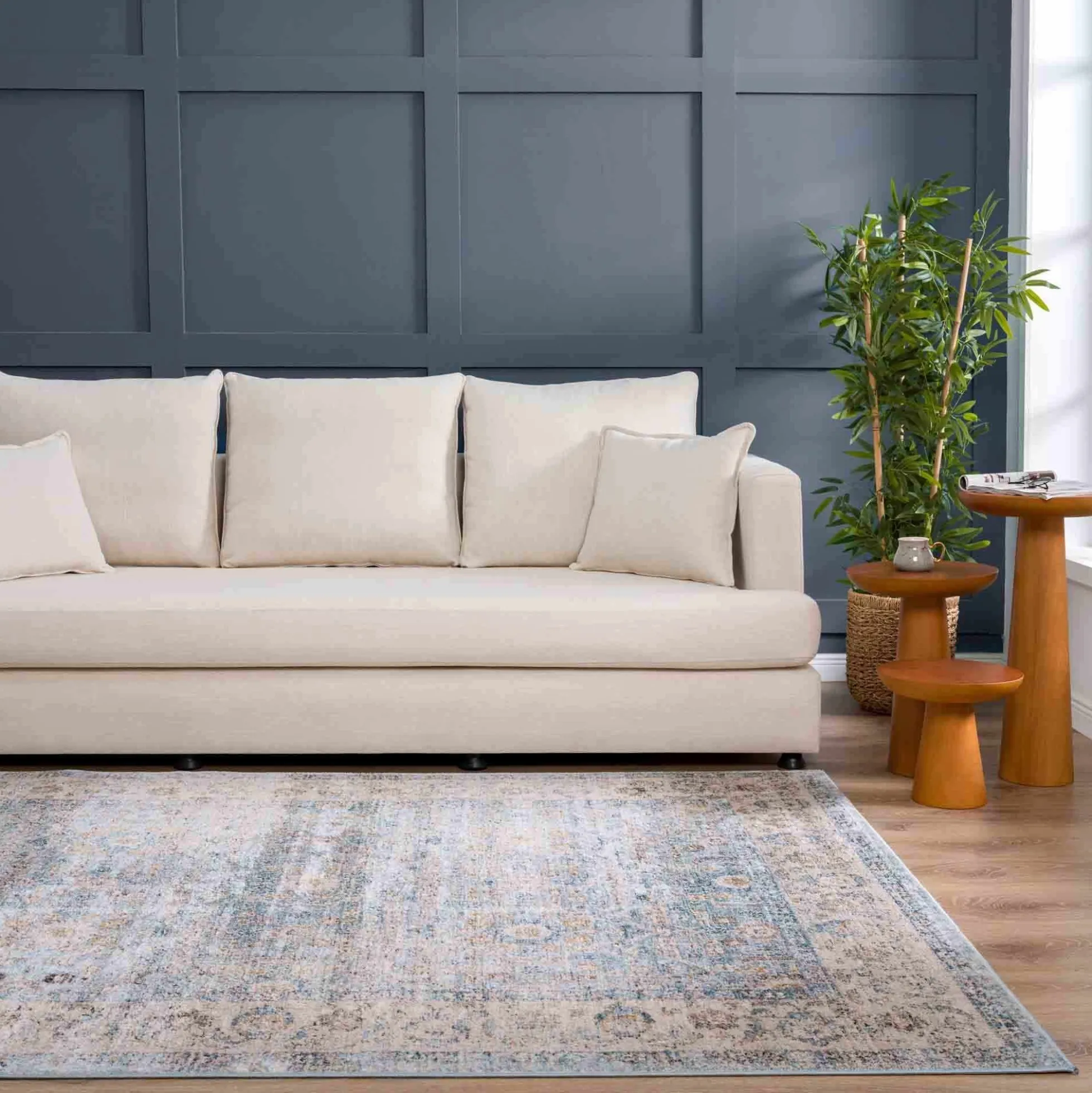 Boutique Rugs - Anana Silver Blue & Beige Area Rug