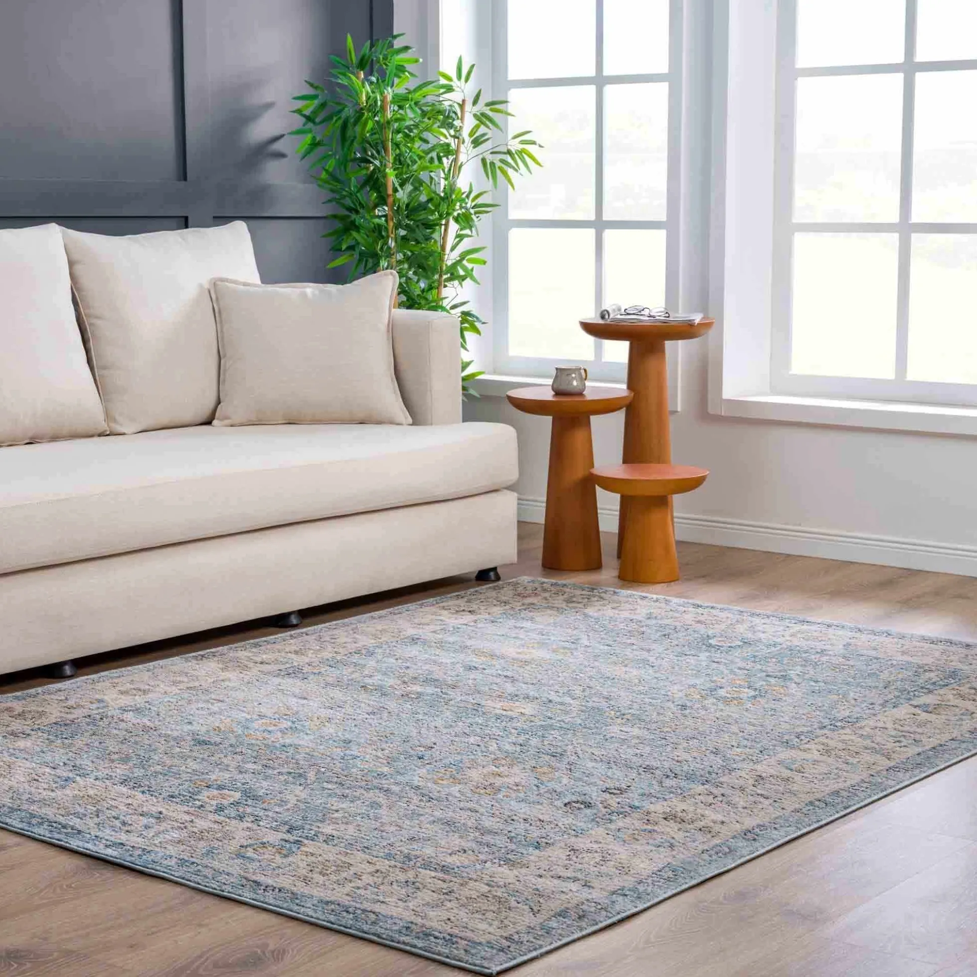 Boutique Rugs - Anana Silver Blue & Beige Area Rug