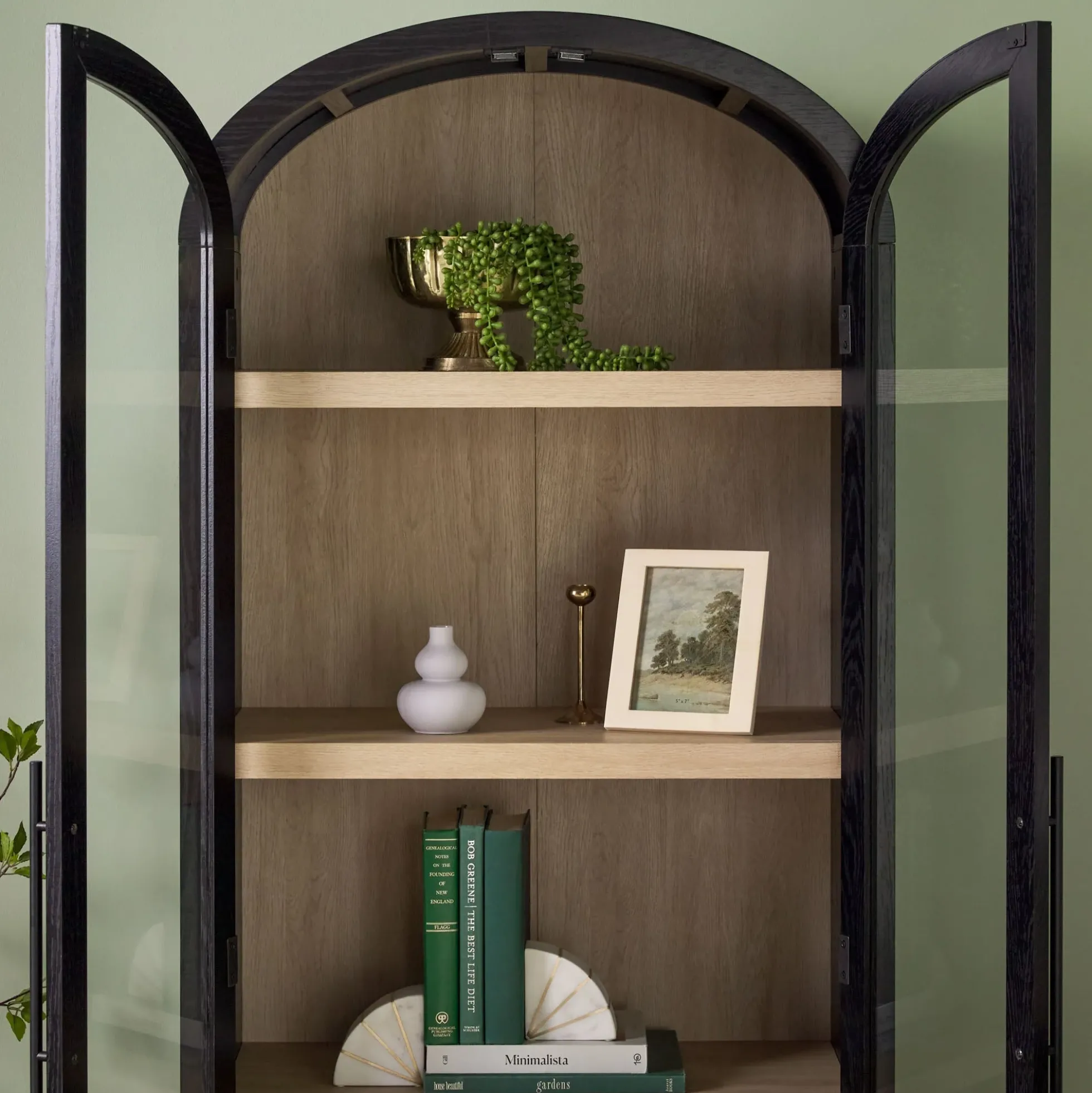 Chantelle Modern Arched Bookshelf with Glass Doors