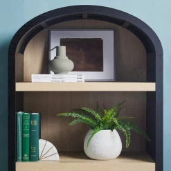 Chantelle Modern Arched Bookshelf with Cabinet