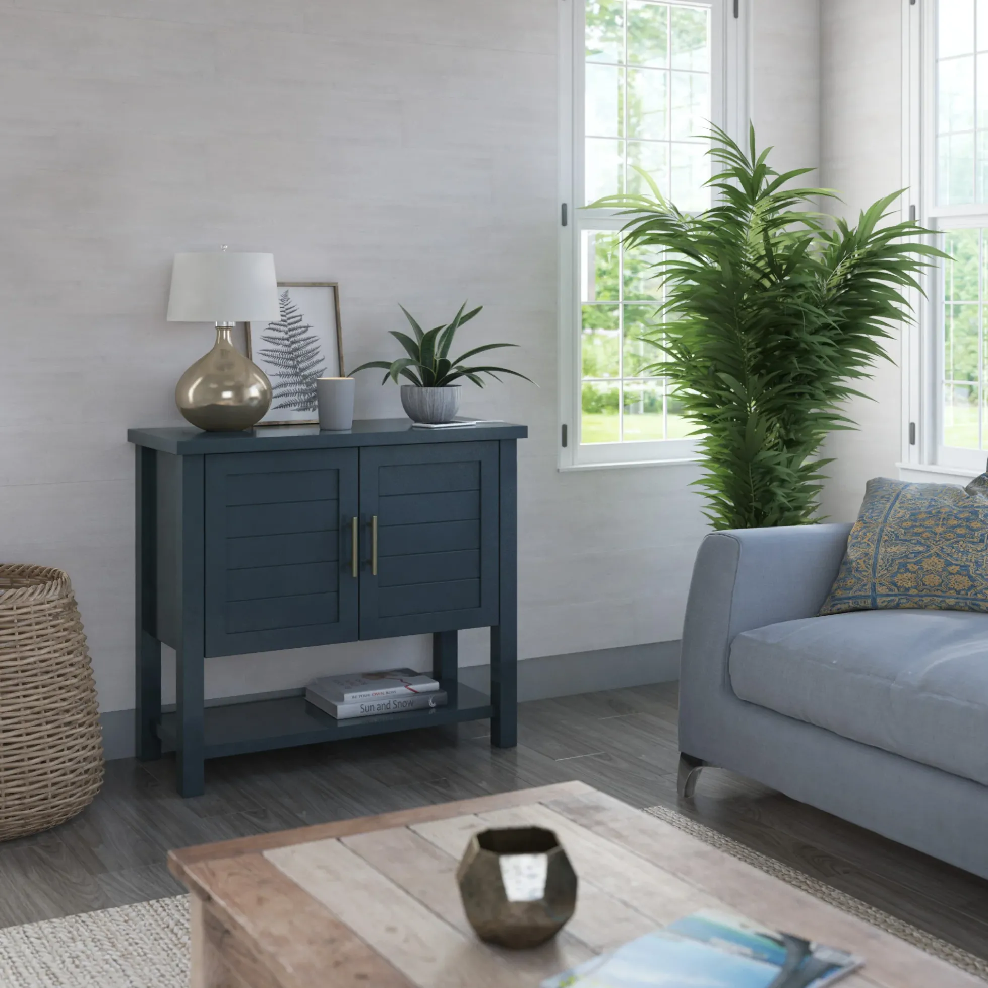 Coastal Paneled Accent Cabinet with Storage