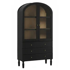 Darci Modern Arched Bookshelf Cabinet with Glass Doors