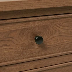 Diedra Modern Side Table with Drawers