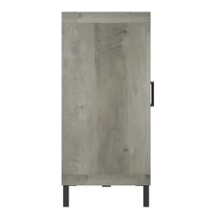 Mirrored Cabinet Door with 23