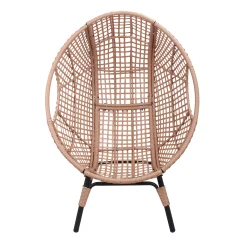 Rattan Outdoor Indoor Elegant Arc Back Hanging Egg Chair