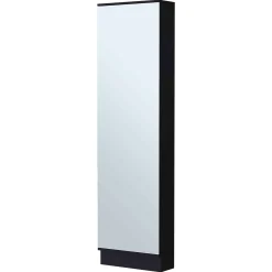 Single Door Mirror Shoe Rack Cabinet