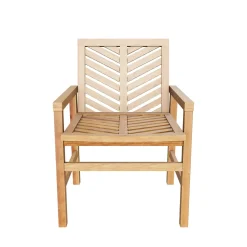 Vincent Patio Wood Chairs, Set of 2