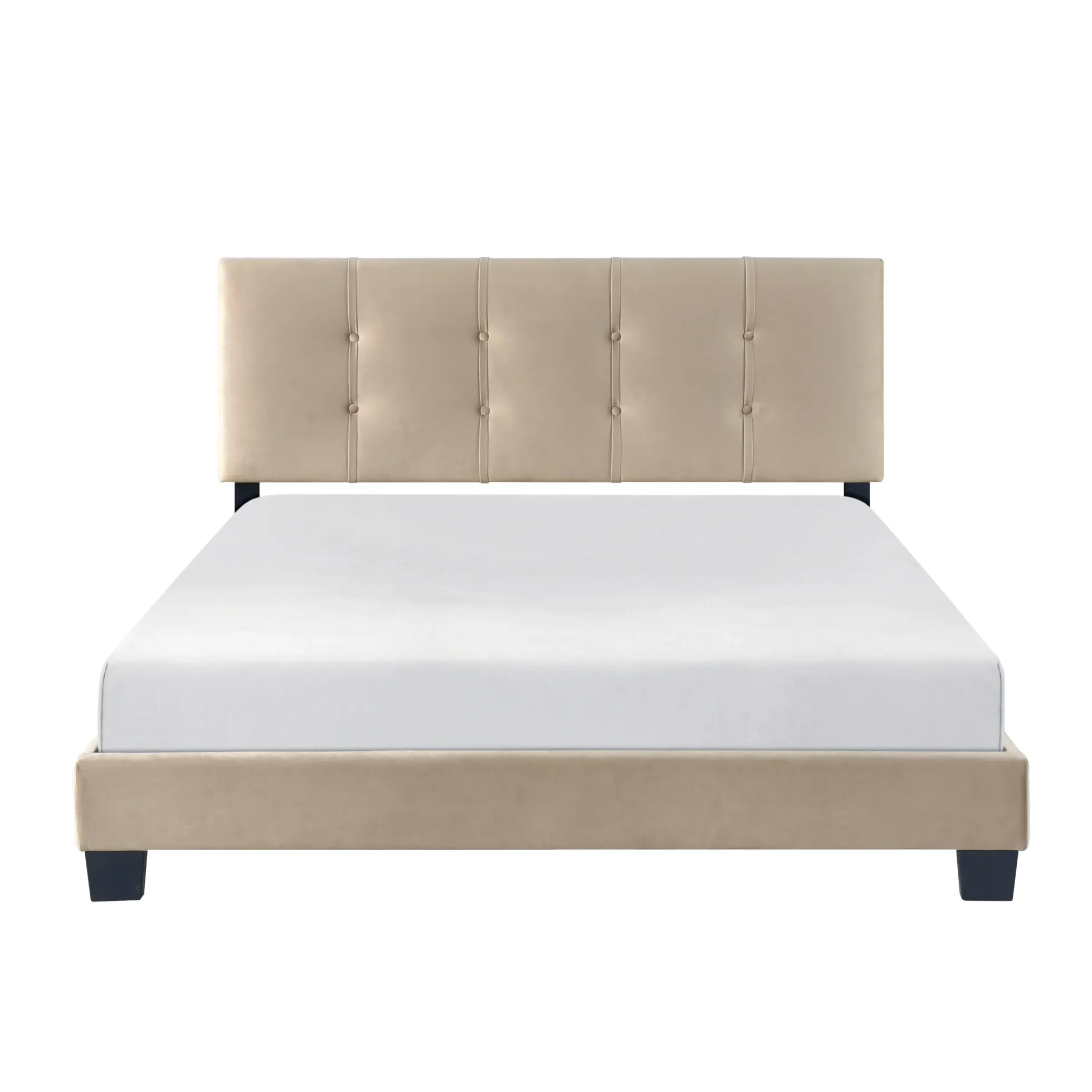 Walker Edison | Queen Velvet Platform Bed